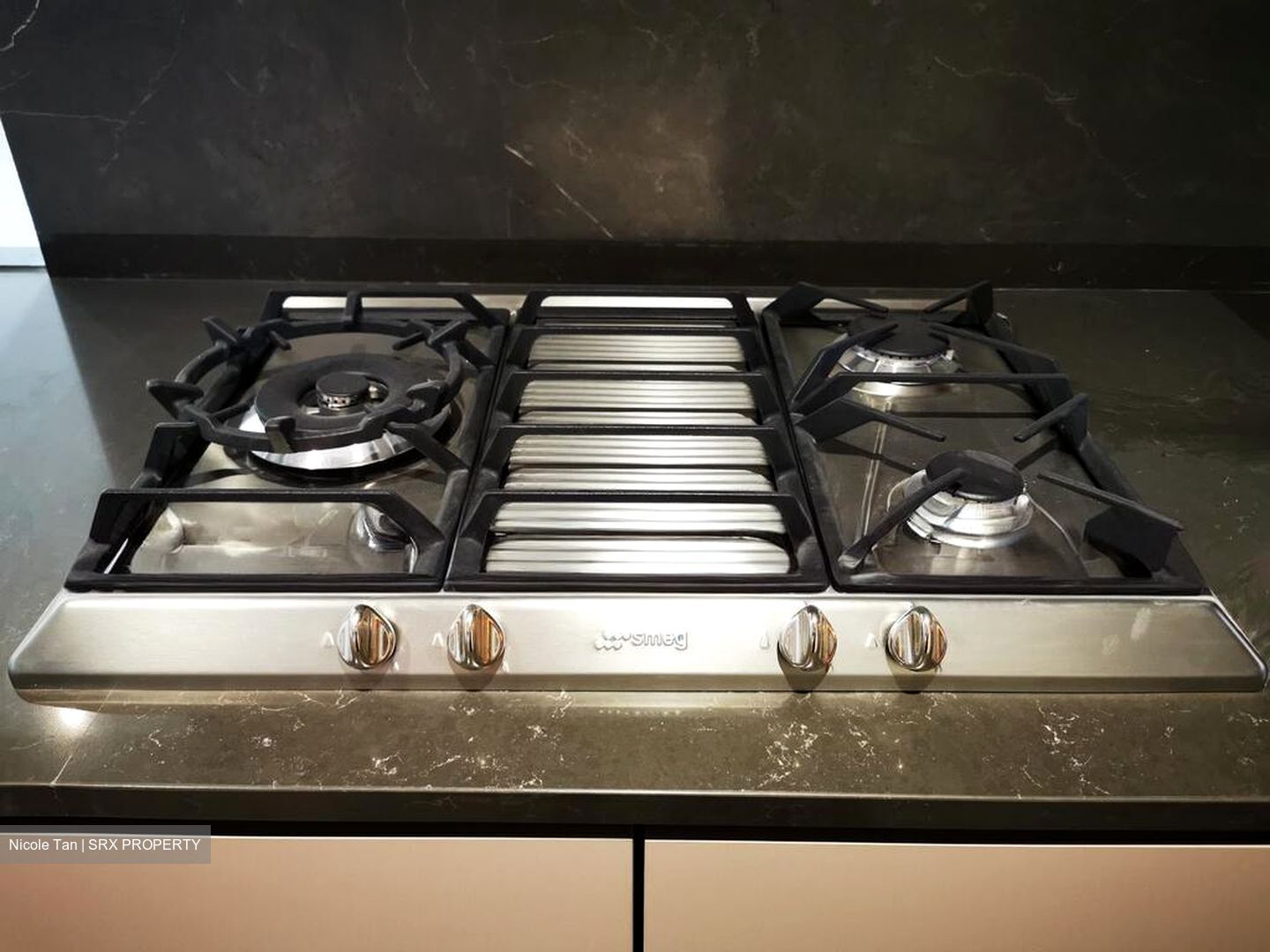 Kopar At Newton (D9), Apartment #499576231